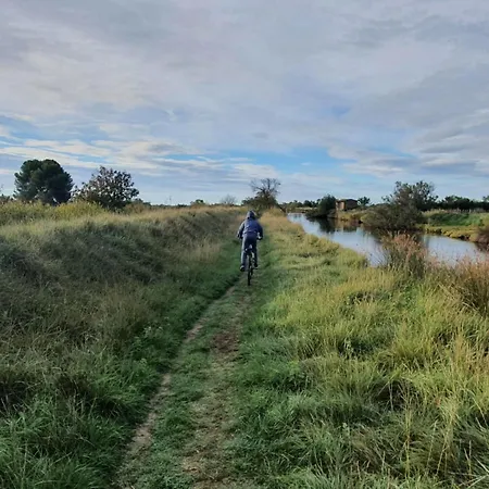 L'eden De Camargue- Et Nature 빌라 Candillargues