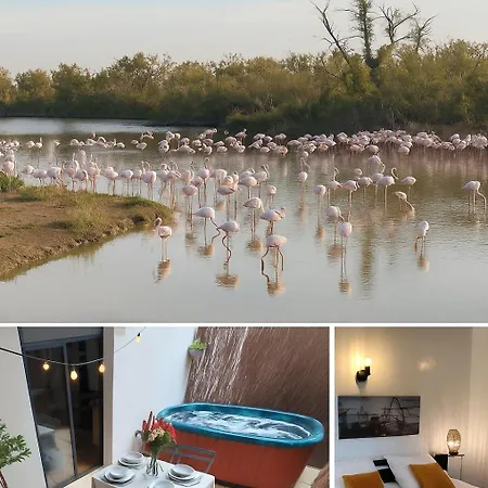 빌라 L'eden De Camargue- Et Nature Candillargues