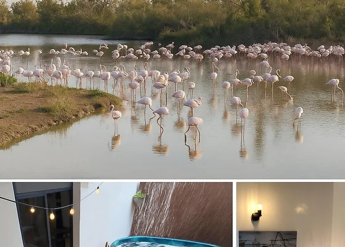Вилла L'eden De Camargue- Et Nature Candillargues